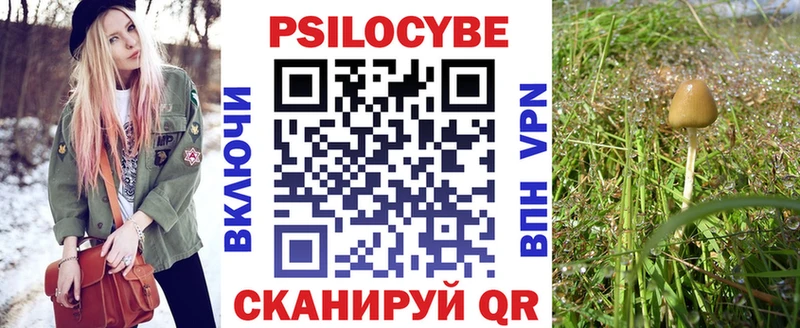 Псилоцибиновые грибы Magic Shrooms  ссылка на мегу зеркало  Северская 